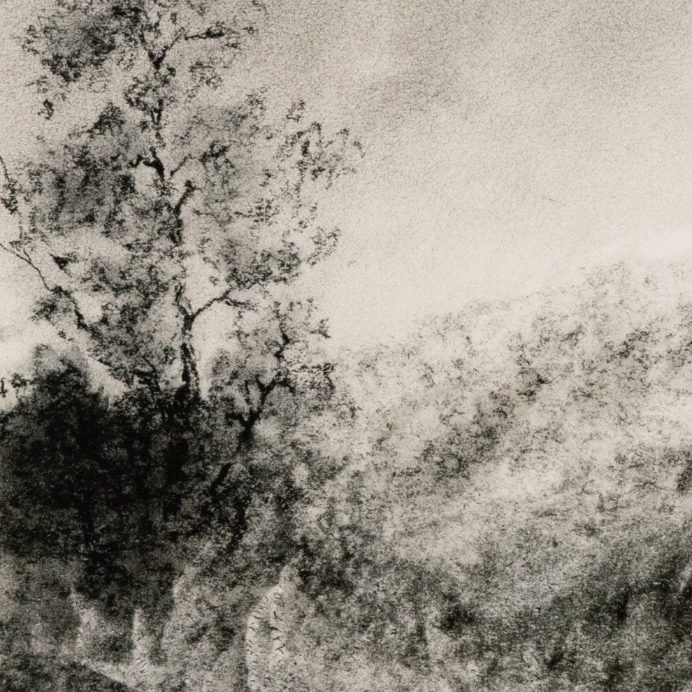 Landscape Study I By Aileen Fitzgerald