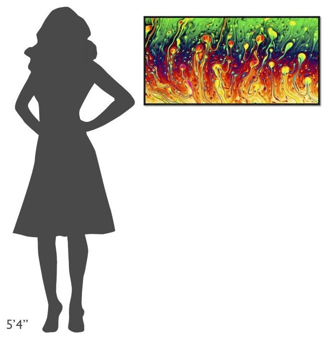 "Soap Opera" Framed Canvas Giclee by Christophe Kiciak, 37x19"