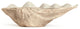 Tridacna Half Shell Bowl