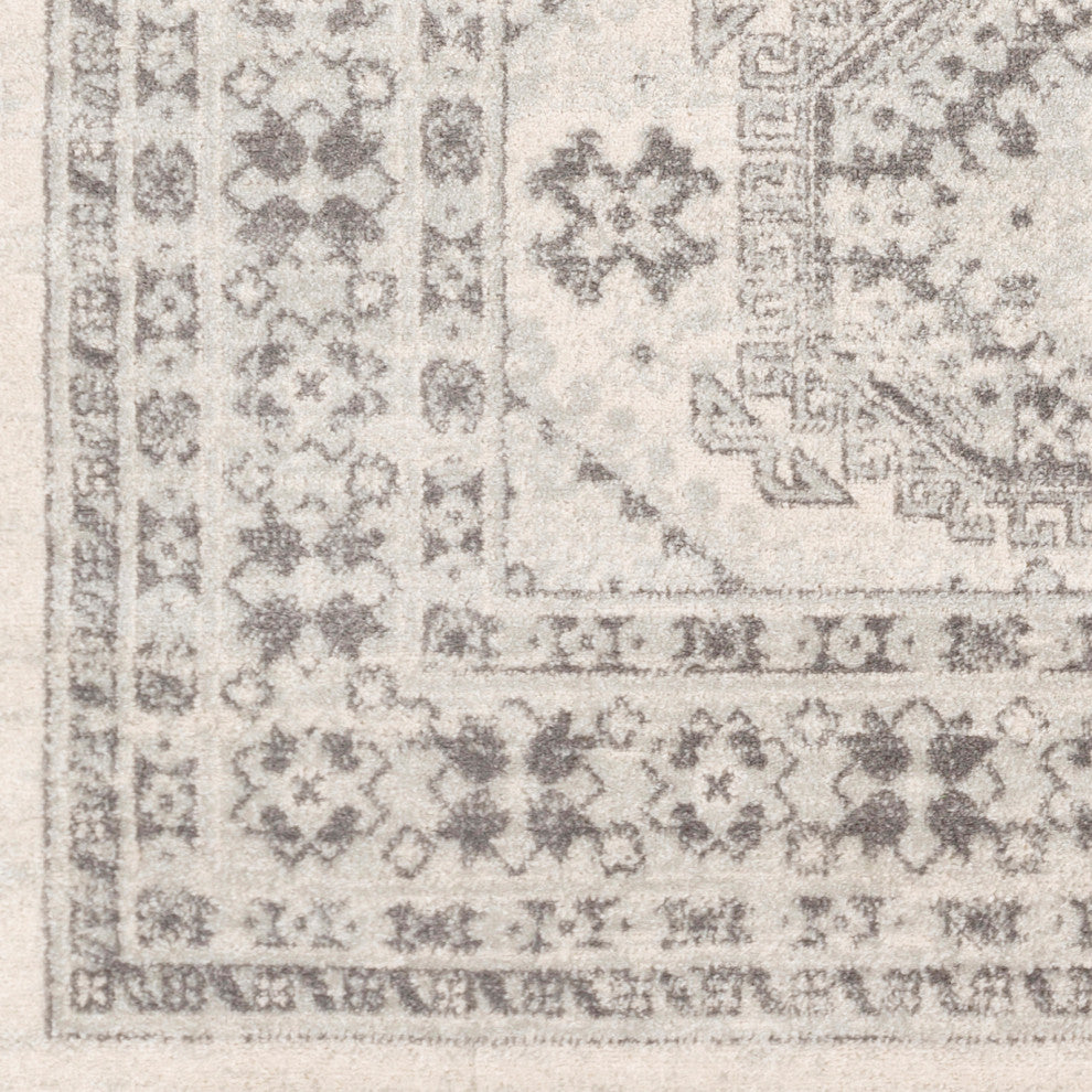 Surya Chester CHE-2309 Global Area Rug, 9' x 12' Rectangle