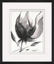 Flourish In Ink 3, Giclee Reproduction Artwork
