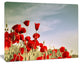 Flourishing Red Poppies, Floral Canvas Art Print, 40"x30"