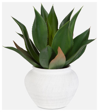 Uttermost Tierra Agave Centerpiece With Vase