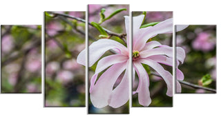 Beautiful Magnolia Flowers, Large Floral Canvas Art Print, 60"x32", 5 Panels