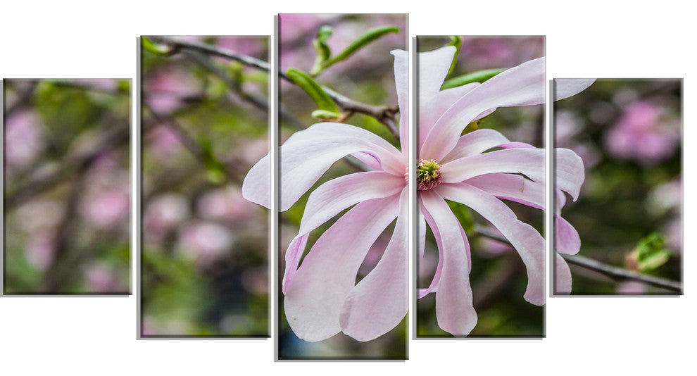 Beautiful Magnolia Flowers, Large Floral Canvas Art Print, 60"x32", 5 Panels