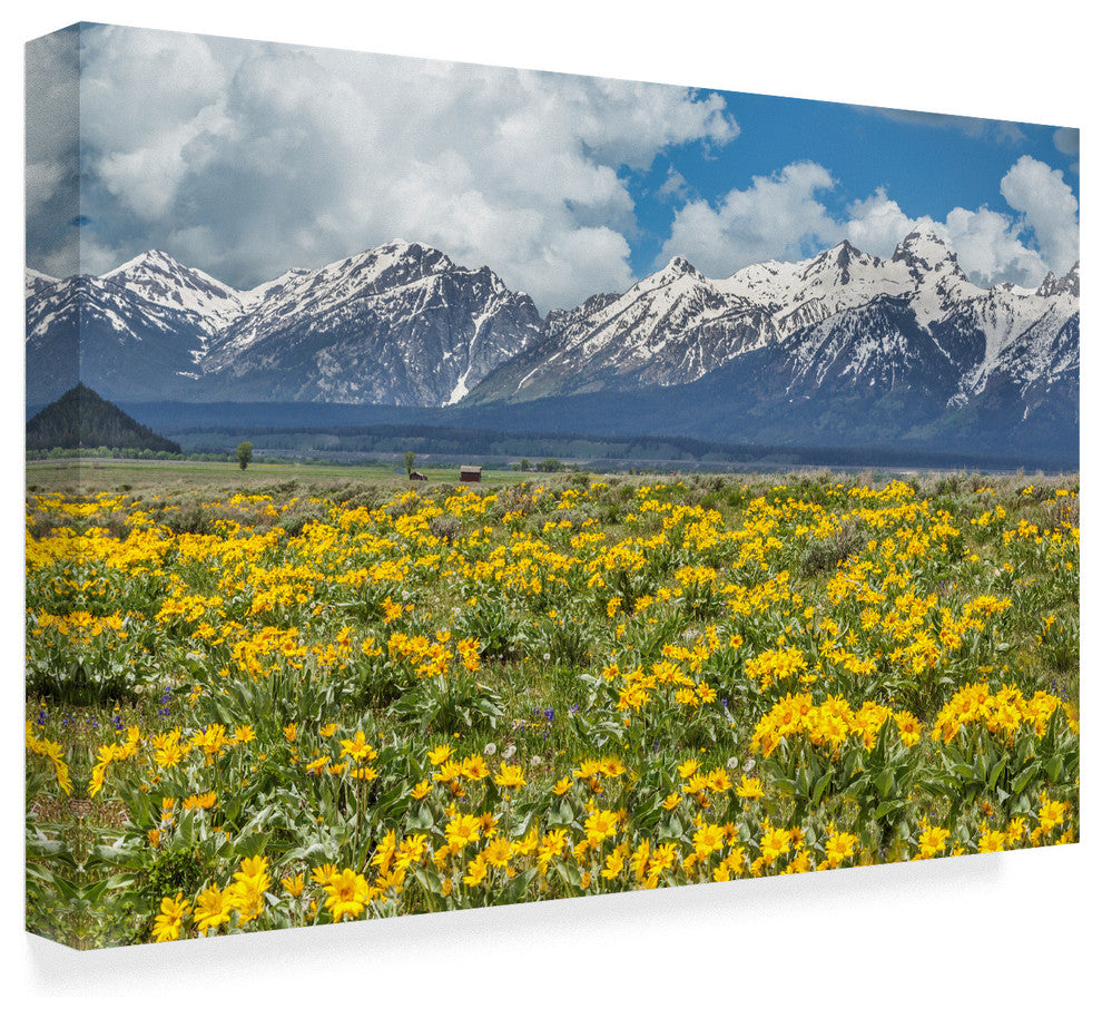 Galloimages Online ''Wild Flowers With Mountains'' Canvas Art, 19"x12"