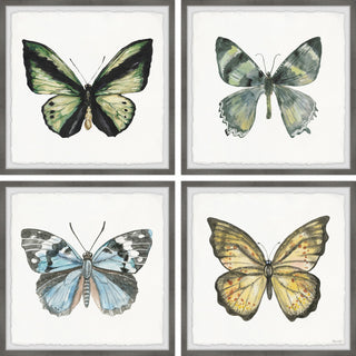 Fly Like a Butterfly Quadriptych, Set of 4, 18x18 Panels