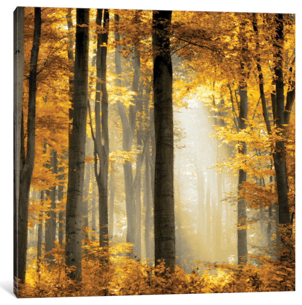 "Sunlit Forest II" by Derek Scott, Canvas Print, 18"x18"