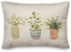 Potted Plants In A Row 14x20 Spun Poly Pillow