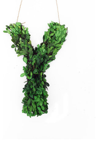 Modern Home 12" Real Preserved Boxwood Monogram Wreath Letters - Y