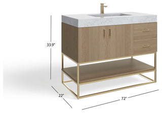 Bahia Bath Vanity, Oak, 42", Brushed Gold Hardware, Single, Freestanding