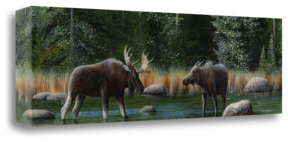 "Moose Panoramic I" By Kevin Daniel, Giclee Print on Gallery Wrap Canvas