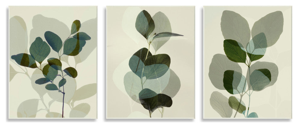 Modern Forest Plant Photography Overlapping Foliage Shadows,10 x 15