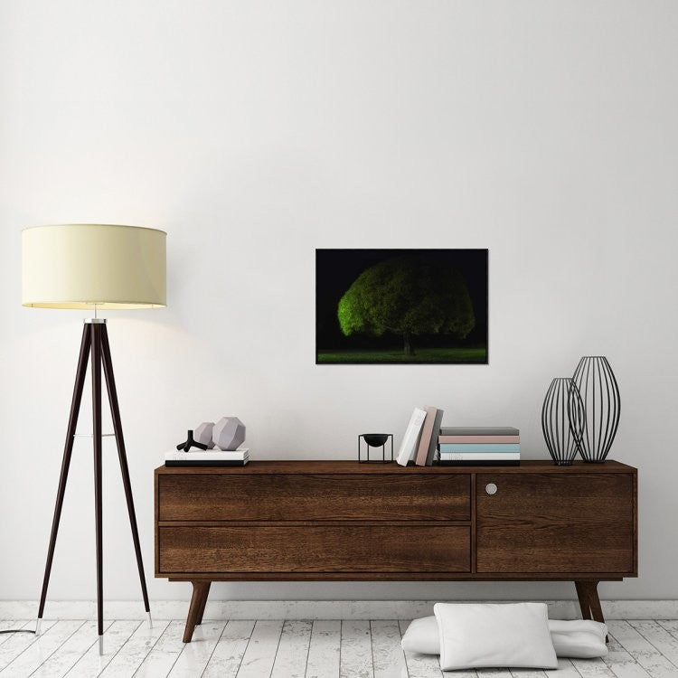 "Mushroom Tree" Framed Canvas Giclee by Stelios Kirtselis, 31x21"