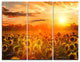 "Yellow Sunset over Sunflowers" Photography Wall Art, 3 Panels, 36"x28"