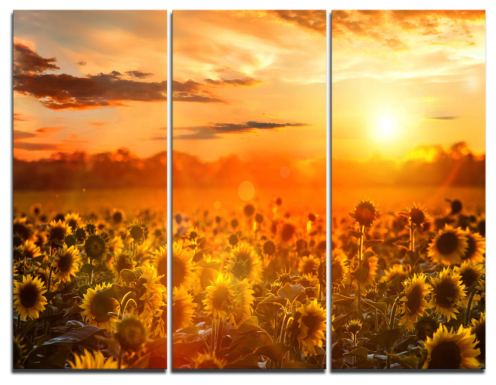 "Yellow Sunset over Sunflowers" Photography Wall Art, 3 Panels, 36"x28"