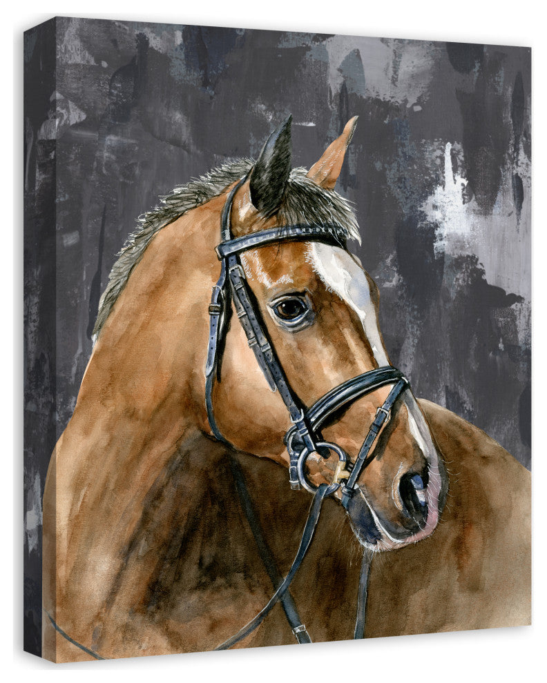 Mono Stoic Horse 16x20 Canvas Wall Art