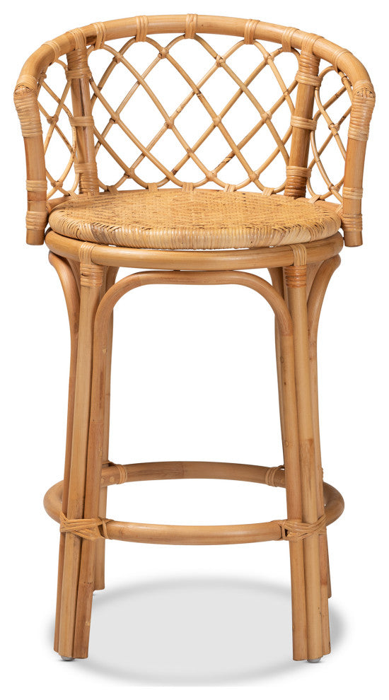 Steele Modern Bohemian Rattan Collection, Natural Brown, Counter Stool
