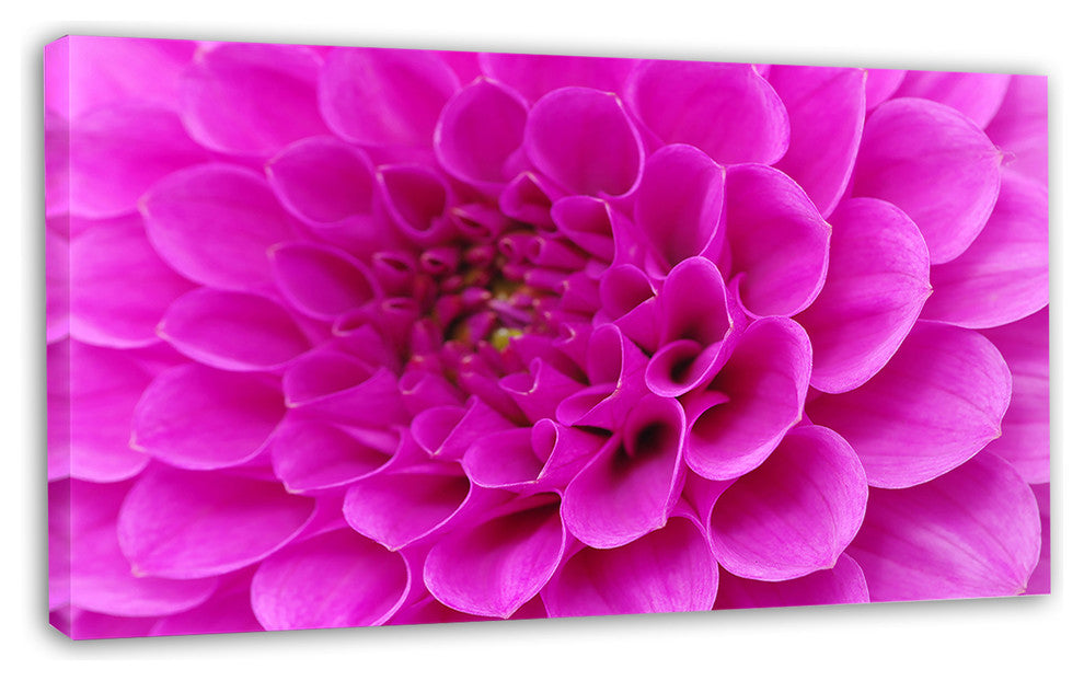 Purple Flower with Close Up Petals, Floral Canvas Art Print, 32"x16"