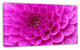 Purple Flower with Close Up Petals, Floral Canvas Art Print, 32"x16"