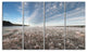 "Autumn Hoarfrost on Grass" Landscape Print Wall Artwork, 4 Panels, 48"x28"