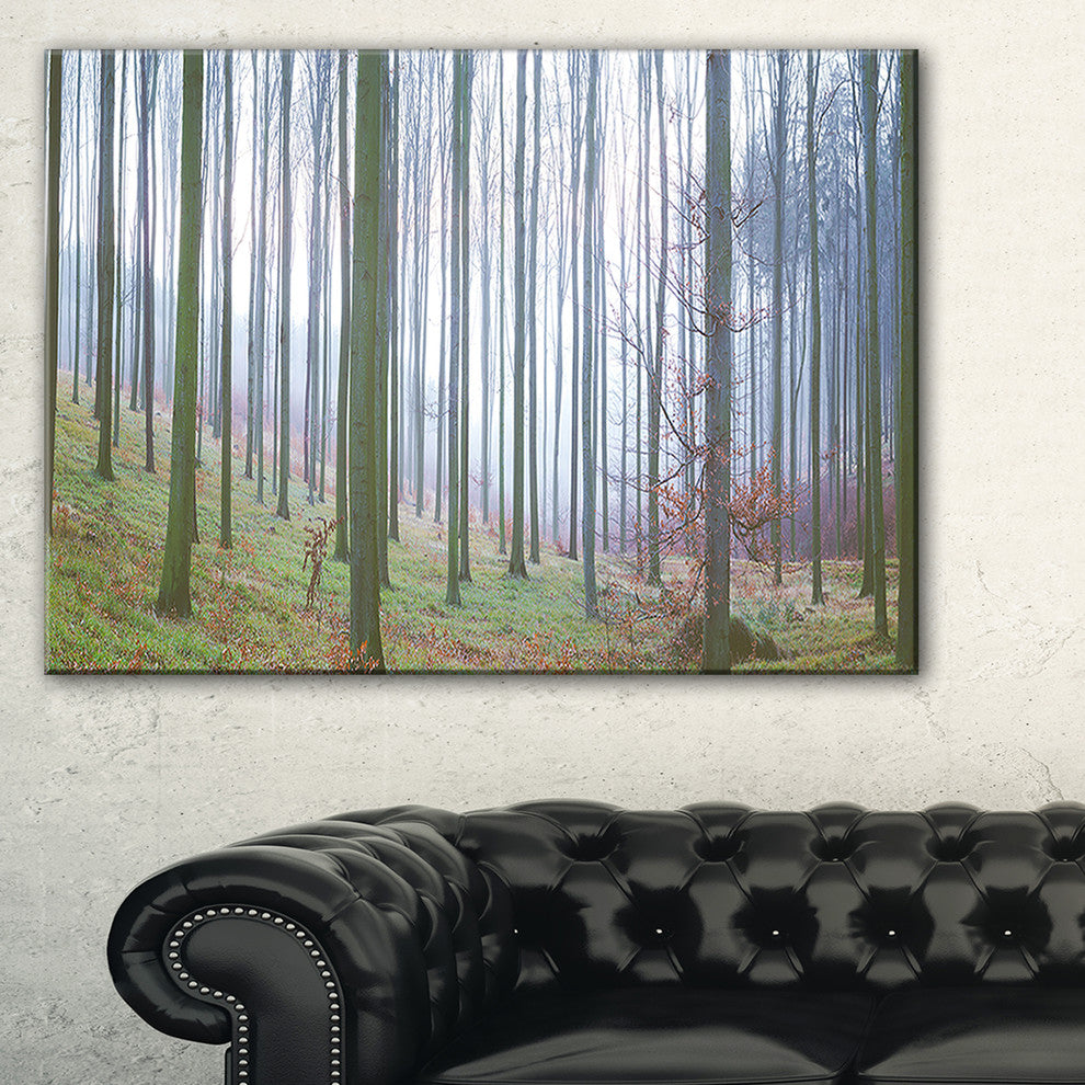 "Autumn Tree Trunks Panorama" Oversized Forest Canvas Artwork, 1 Panel, 60"x28"