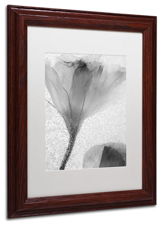 'Flowers on Ice-13' Matted Framed Canvas Art by Moises Levy