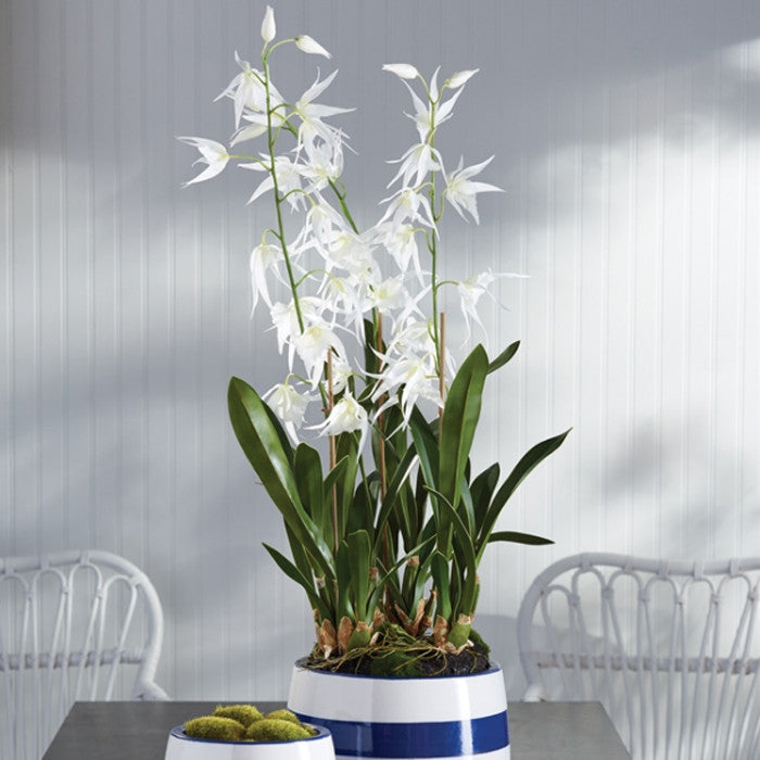 Luxe White Spider Orchid Faux Floral Artificial Plant 44 in Tall Drop In Flowers