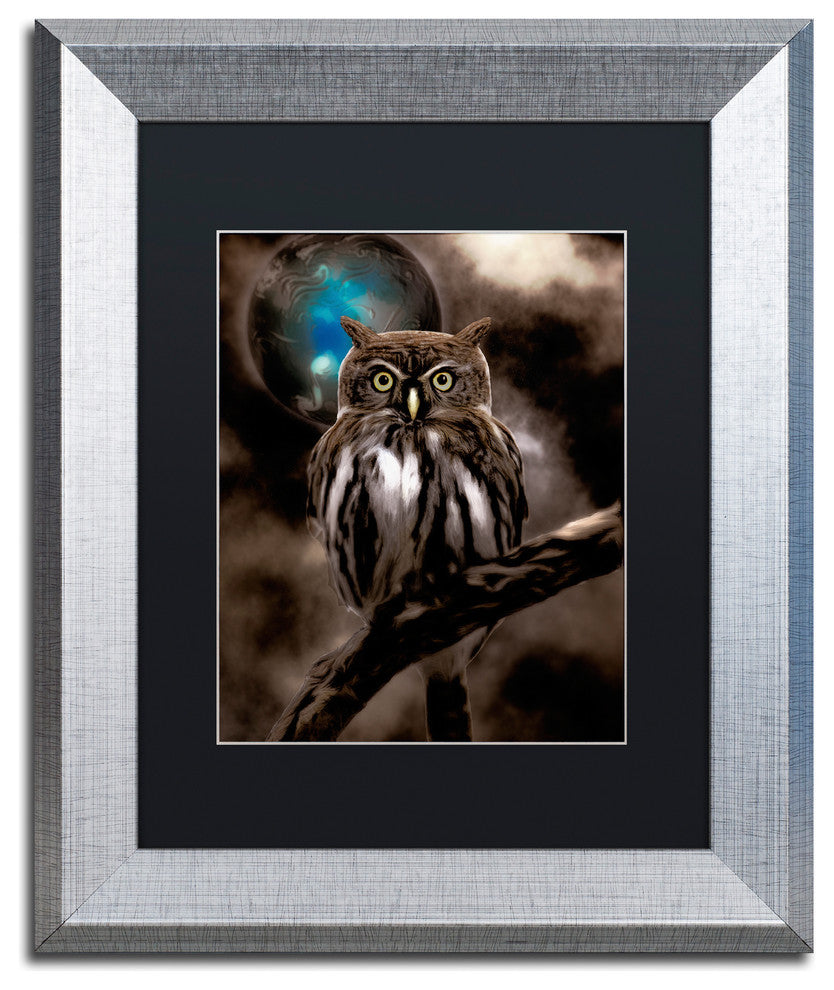 Color Bakery 'Night Owl' Art, Silver Frame, Black Matte, 11"x14"