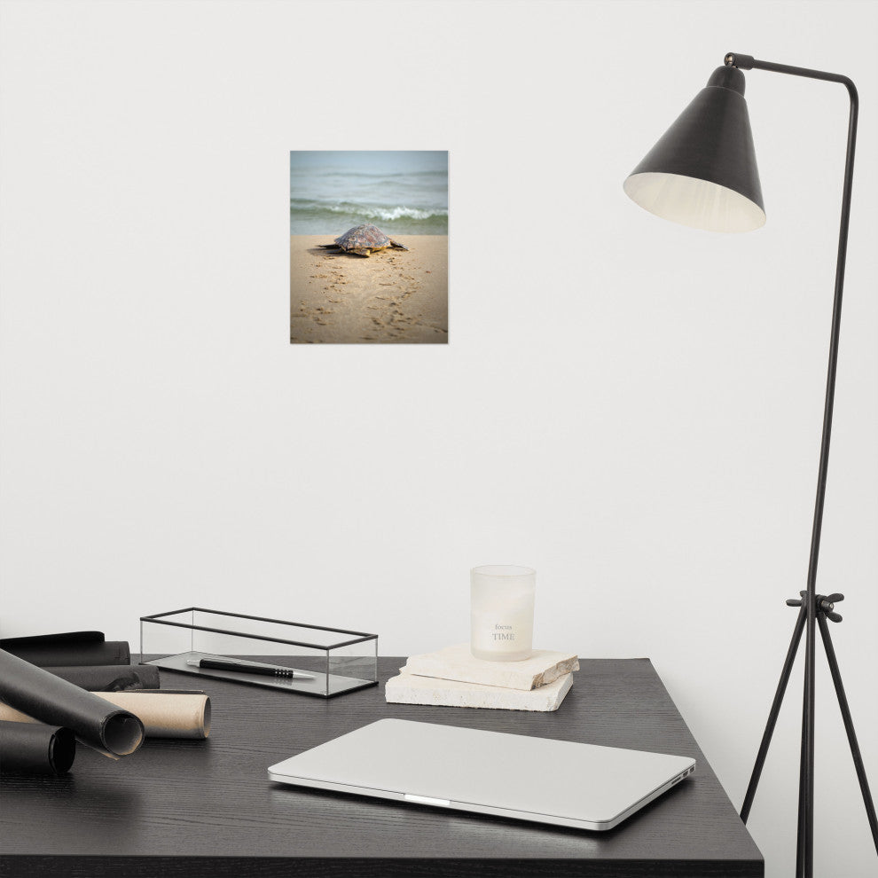 Baby Loggerhead Sea Turtle Beach Ocean Photograph Loose Wall Art Print, 8" X 10"