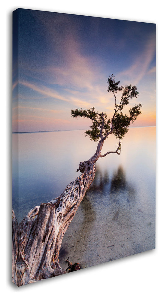 "Water Tree X" Canvas Art by Moises Levy