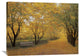 "Autumn Gold" Artwork, 40" x 30"
