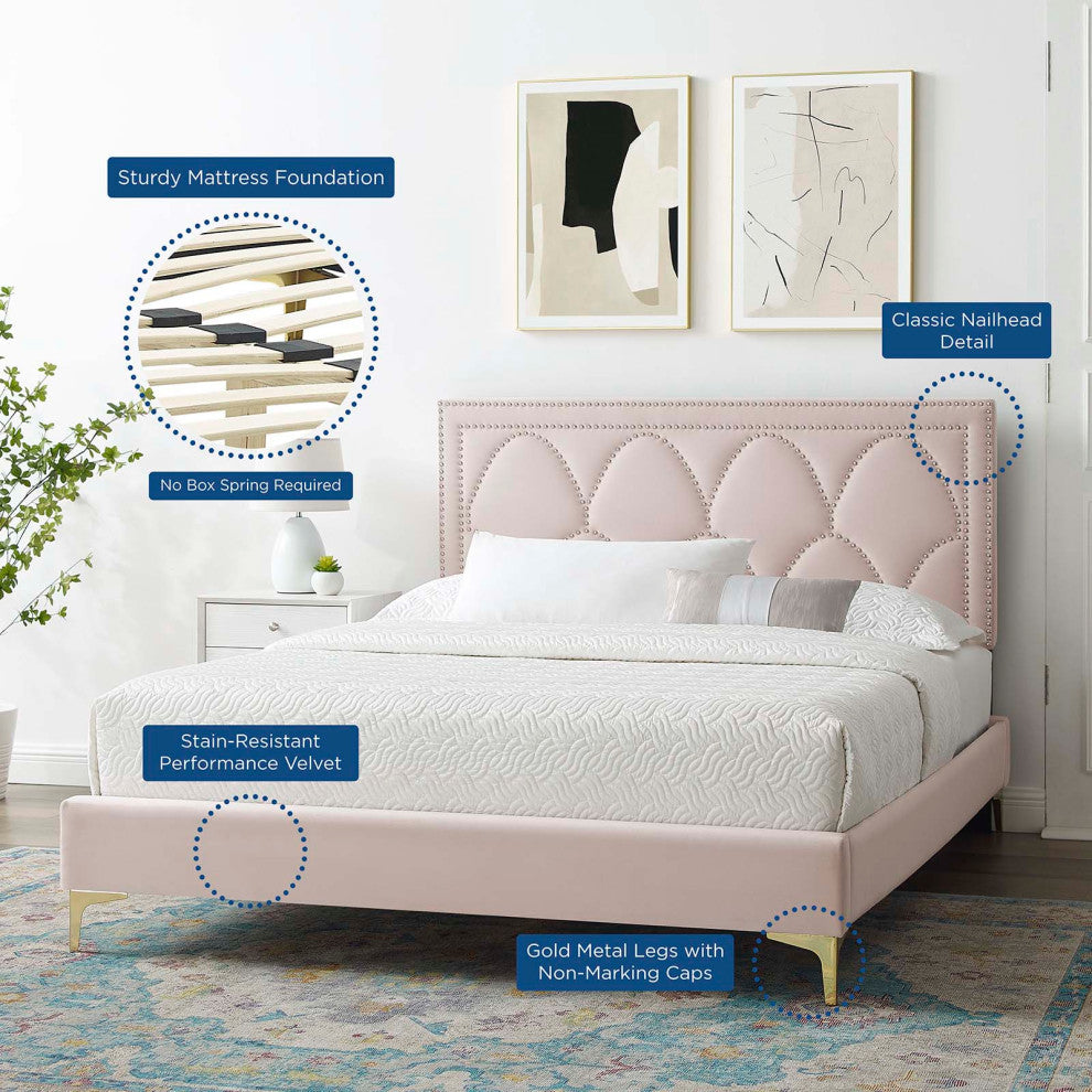 Platform Bed Frame, Nailhead, Queen Size, Pink, Velvet, Modern, Guest Suite