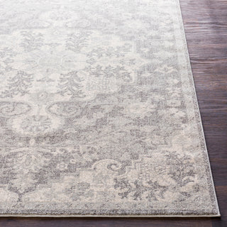 Harput Updated Traditional Light Gray, Charcoal Area Rug, 2'x3'