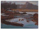 Rusty Frentner 'John Long Nature Center' Canvas Art, 32"x24"