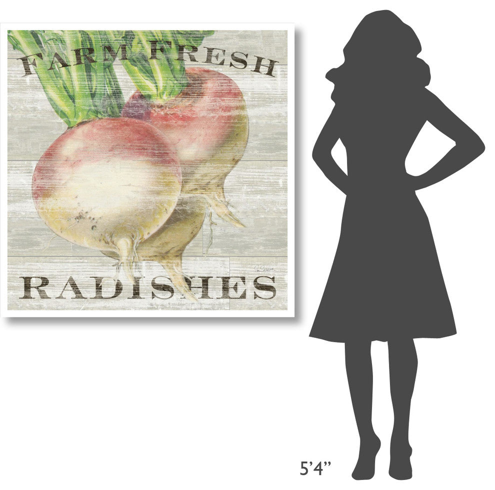 "Farm Fresh Radishes" Digital Paper Print by Sue Schlabach, 42"x42"