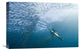 "Hunter And The Hunted" Stretched Canvas Giclee by Alexander Safonov, 22x15"