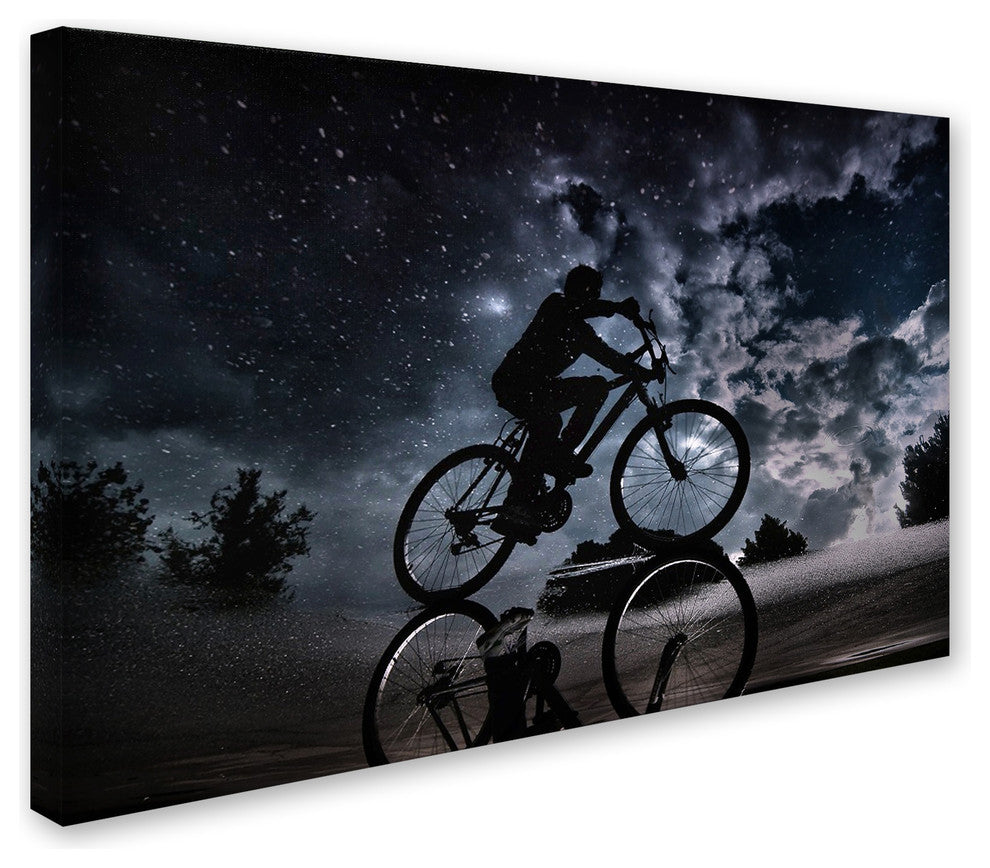 Antonio Grambone 'Reflected In The Stars' Canvas Art, 24x16