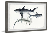 "Gray Sharks" Framed Painting Print, 12"x8"