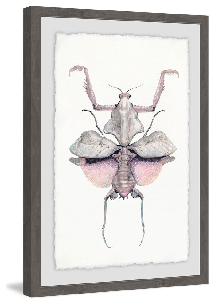"Prehistoric Pink Bug" Framed Painting Print, 16"x24"
