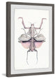 "Prehistoric Pink Bug" Framed Painting Print, 16"x24"