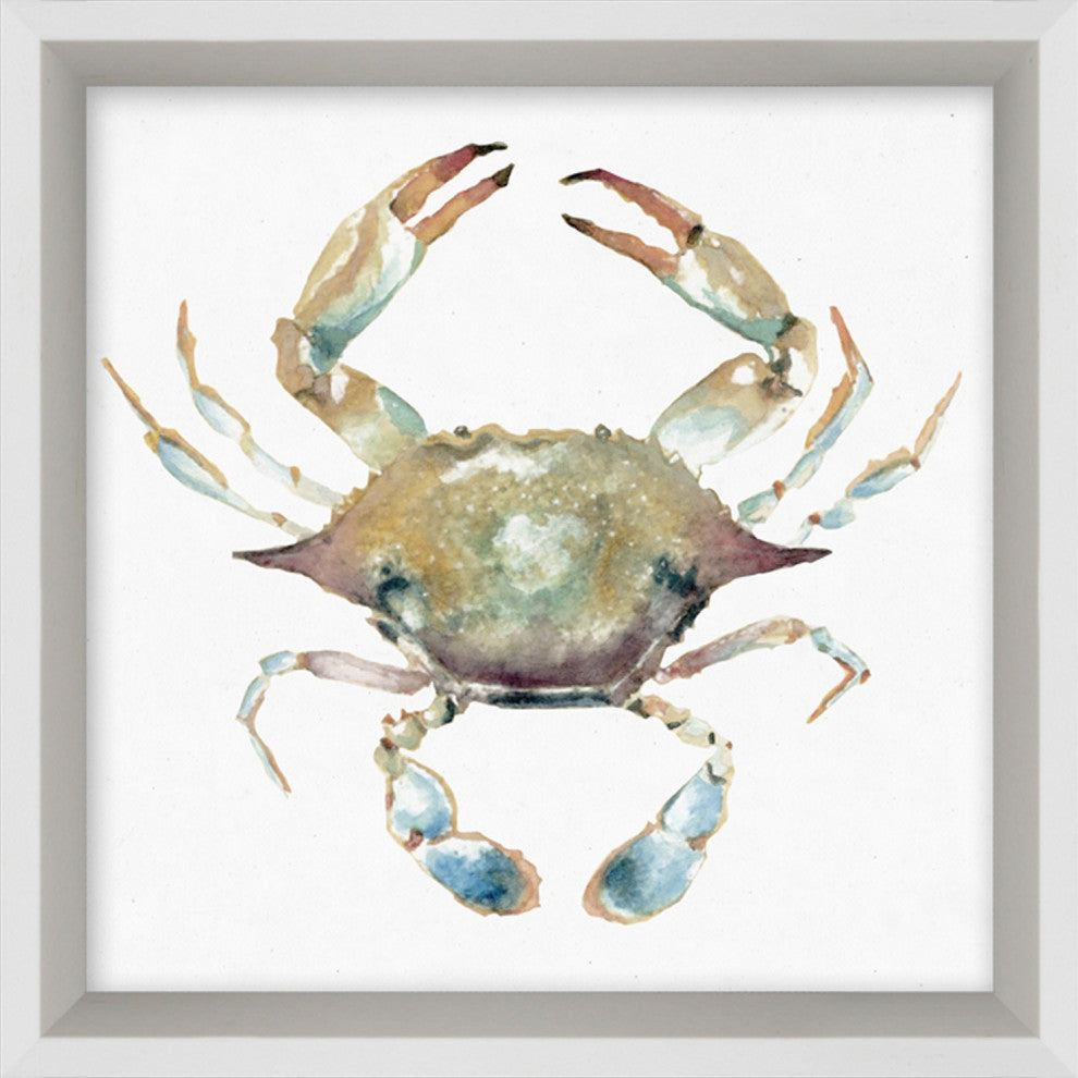 Aquatic Assortment 17, Giclee Reproduction Artwork