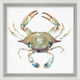 Aquatic Assortment 17, Giclee Reproduction Artwork