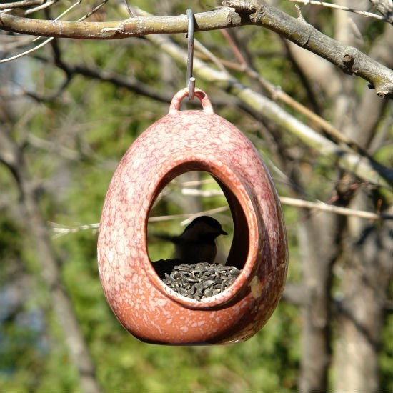 Egg Fly Through Bird Feeder, Red