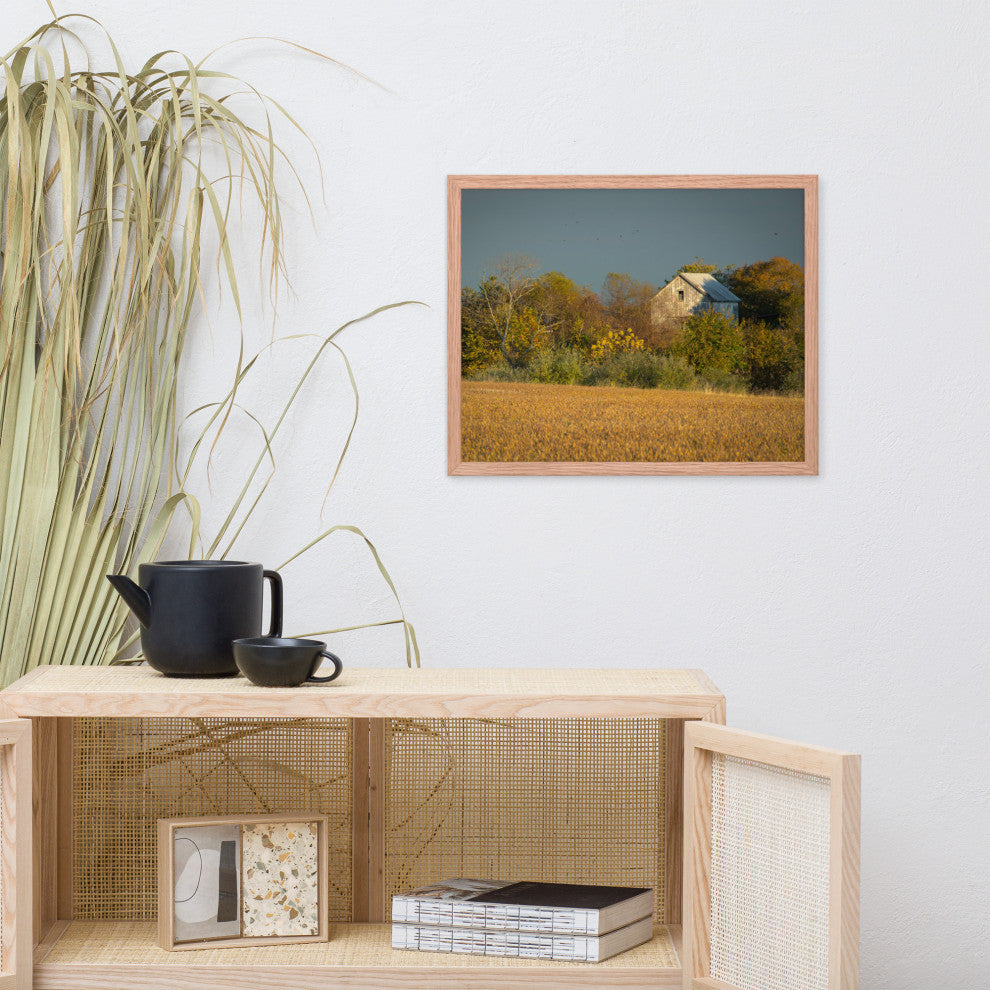 Abandoned Barn In The Trees Framed Photo Paper Wall Art Prints, Red Oak, 16" X 20"