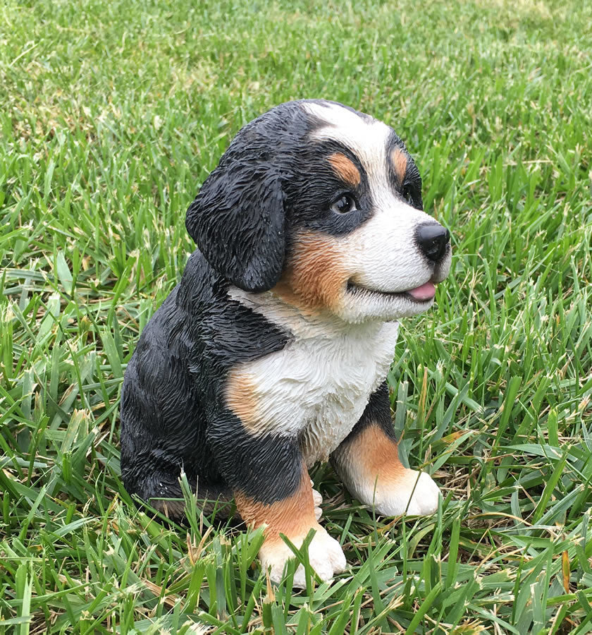 Realistic Bernese Mountain Dog Puppy Garden Statue