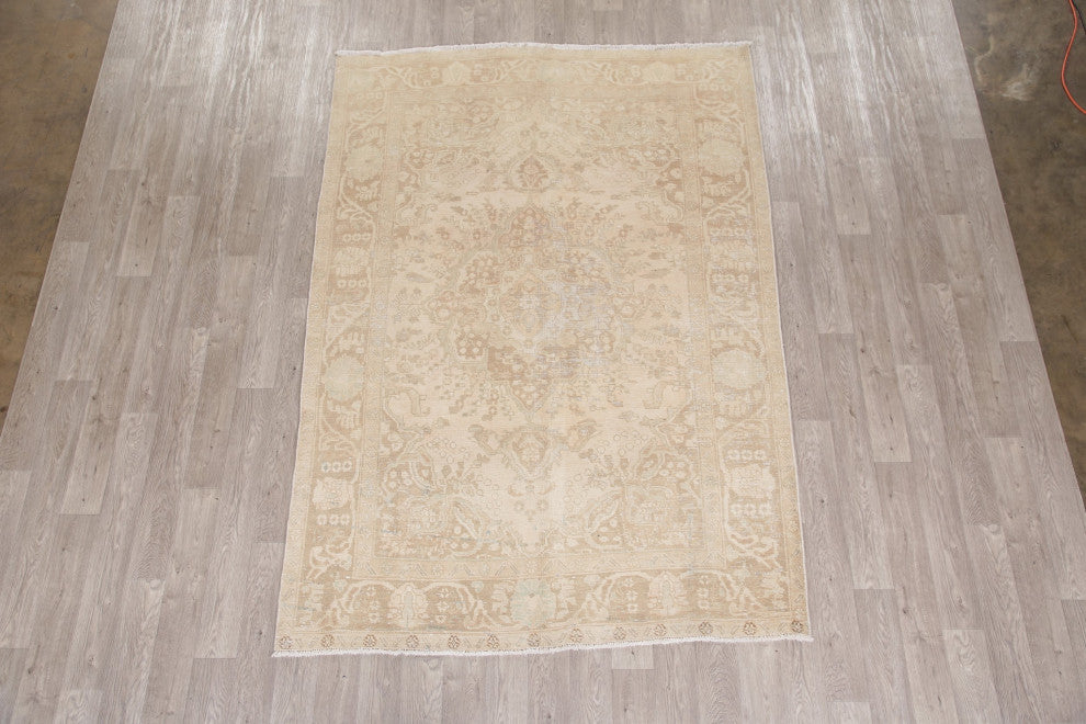 Consigned, Vintage Traditional Handmade Distressed Persian Area Rug, Beige, 6x9