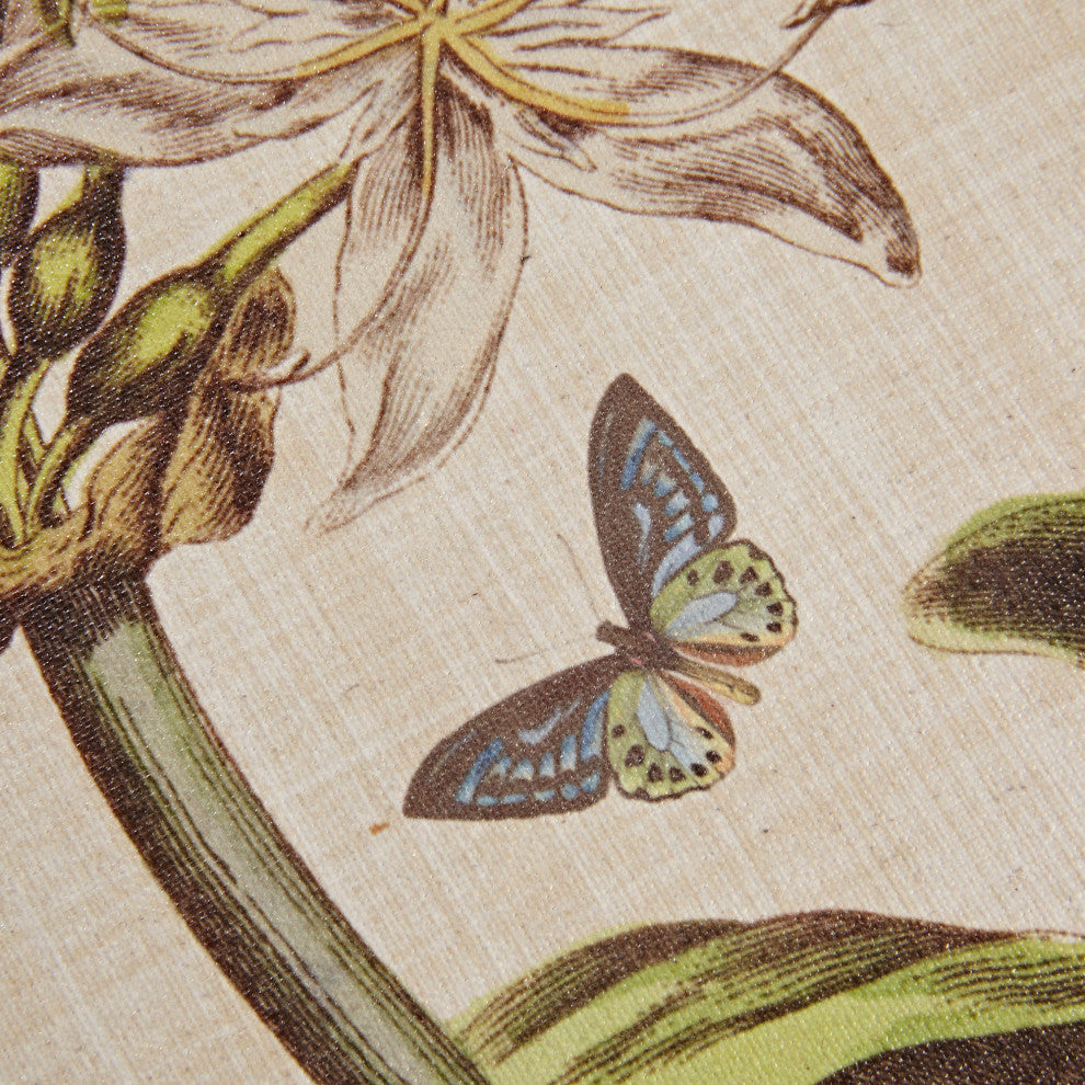 Madison Park Herbal Botany Framed Linen Canvas 4 Piece Set