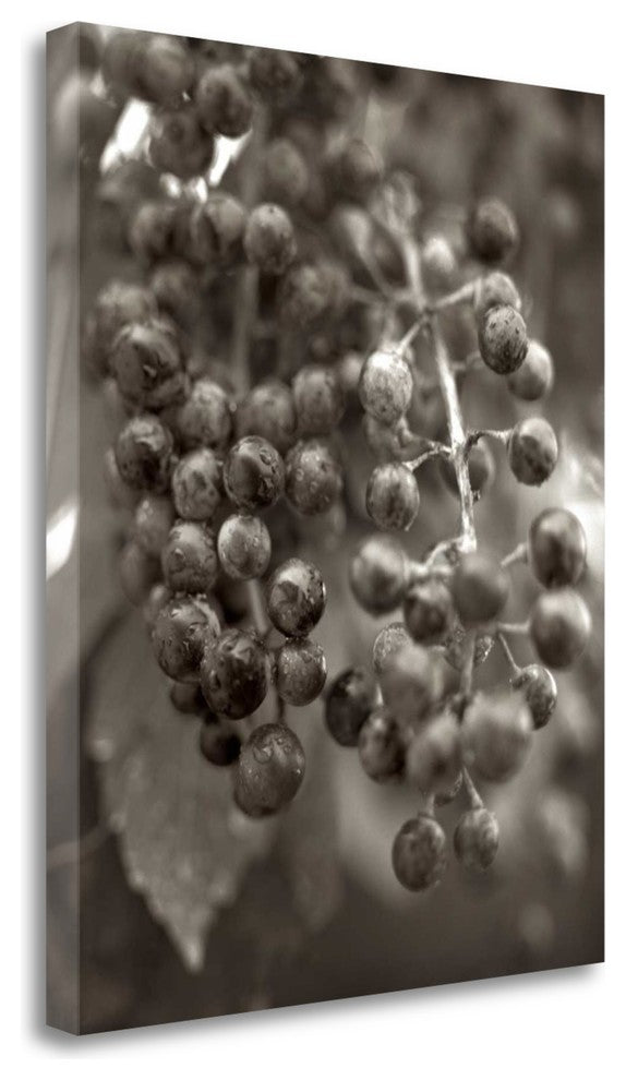 "Florison - 9" By Alan Blaustein, Giclee Print on Gallery Wrap Canvas