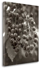 "Florison - 9" By Alan Blaustein, Giclee Print on Gallery Wrap Canvas